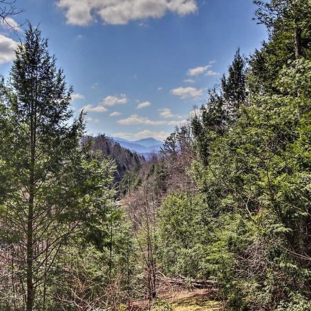 Quiet Cabin With Mountain Views About 3 Mi To ガトリンバーグ エクステリア 写真