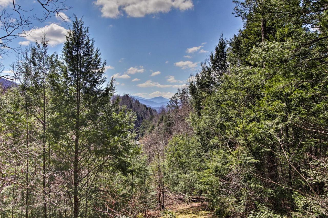 Quiet Cabin With Mountain Views About 3 Mi To ガトリンバーグ エクステリア 写真